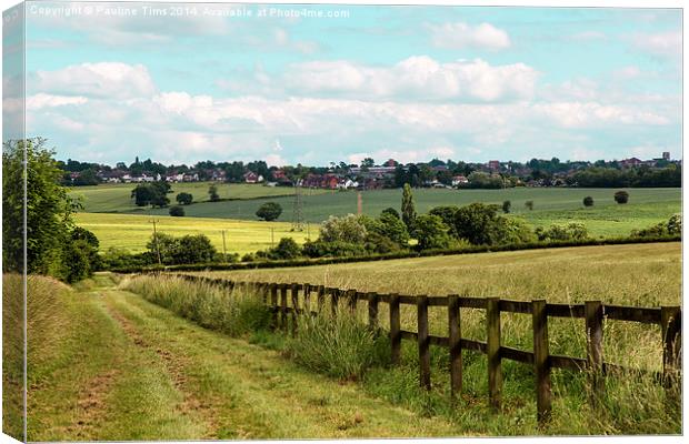 The View from Epping Upland to Epping Essex UK Canvas Print by Pauline Tims