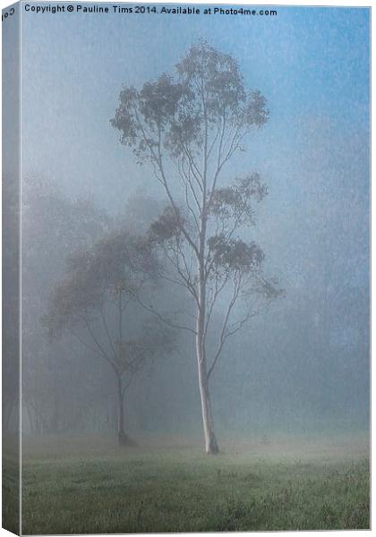  Tree in the Mist, Yan Yean Canvas Print by Pauline Tims