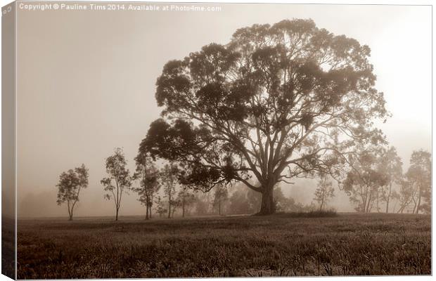  Gum Tree in the Mist at Yan Yean Park, (Sepia) Canvas Print by Pauline Tims