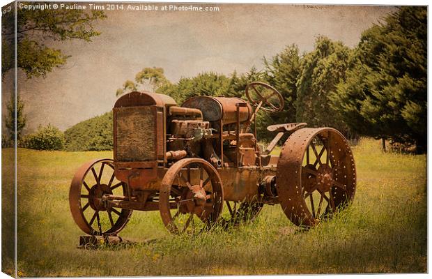  Rusty Relic Canvas Print by Pauline Tims