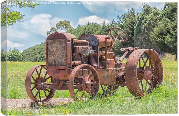  Rusty Relic 2 Canvas Print by Pauline Tims