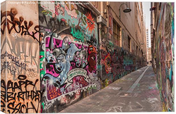 Union Lane Melbourne Graffiti  Canvas Print by Pauline Tims