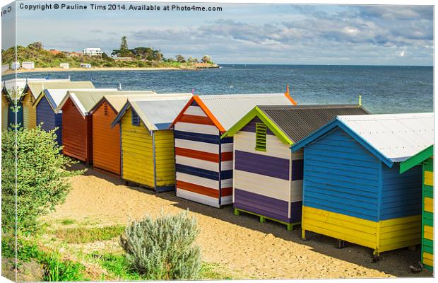  Beach Huts at Brighton Victoria Australia Canvas Print by Pauline Tims