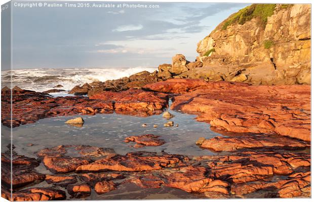  Red Rocks at Merimbula, New South Wales, Australi Canvas Print by Pauline Tims