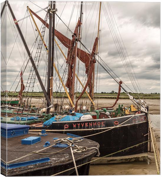  Wivenhoe Quayside, Essex, UK Canvas Print by Pauline Tims