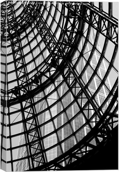  Through the Roof Canvas Print by Pauline Tims