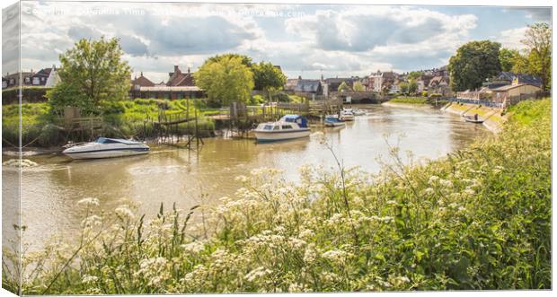 May morning in Sussex Canvas Print by Pauline Tims