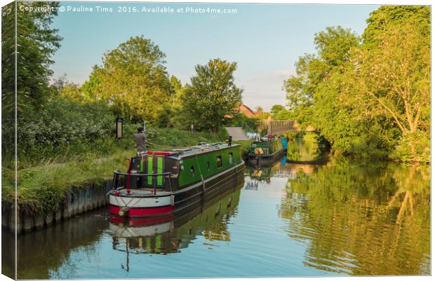 River Life Canvas Print by Pauline Tims