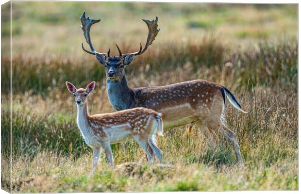 Father and son Canvas Print by Alan Strong