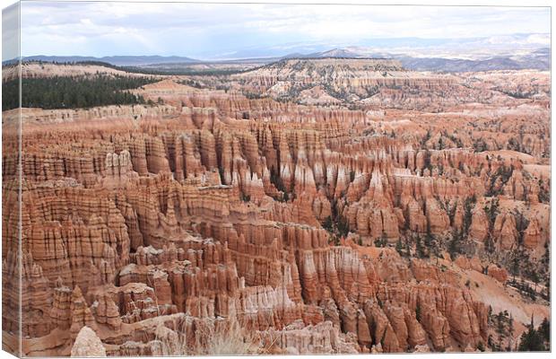 Bryce Canyon Canvas Print by Julie Ormiston