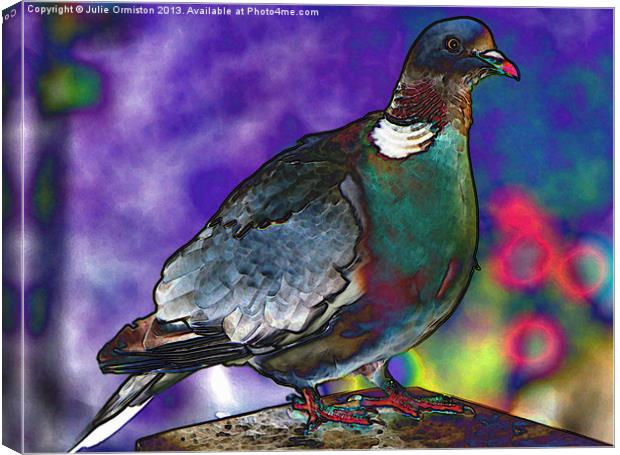 Funky Wood Pigeon Canvas Print by Julie Ormiston