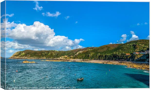 Rozel Bay Jersey. Canvas Print by Julie Ormiston