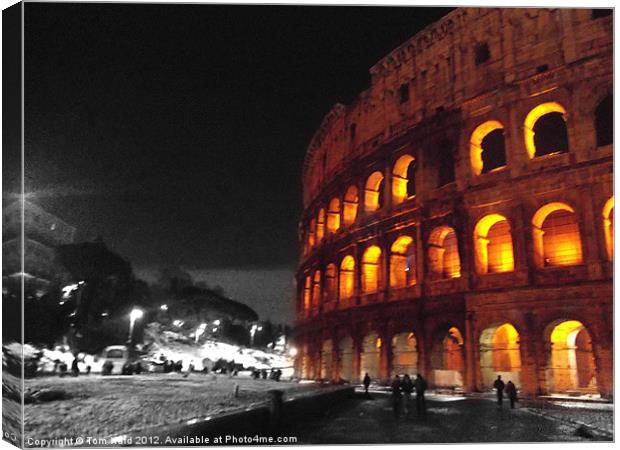 Colosseum, Rome Canvas Print by Tom Hard