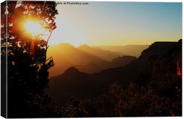  Sunrise at the Canyon Canvas Print by Tom Hard