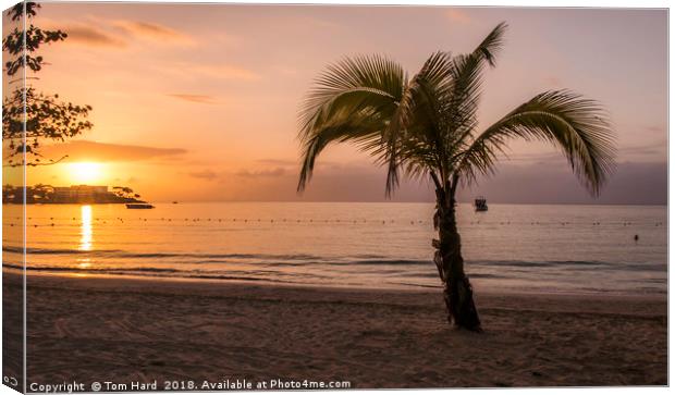 Jamaican Sunset Canvas Print by Tom Hard