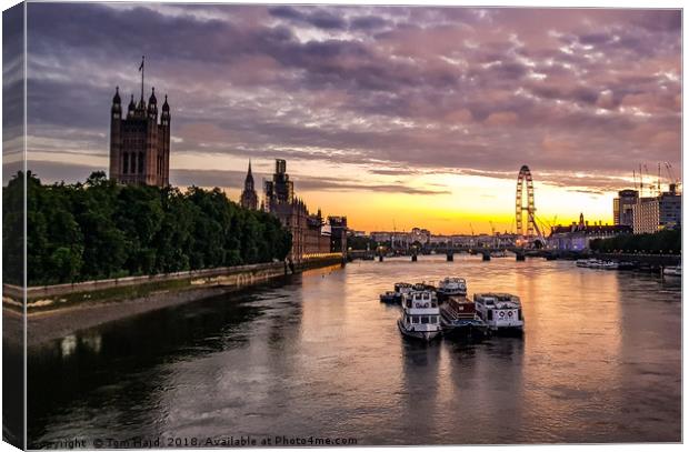 Westminster Sunrise Canvas Print by Tom Hard