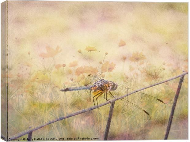 Dreamy Dragonfly Canvas Print by Judy Hall-Folde