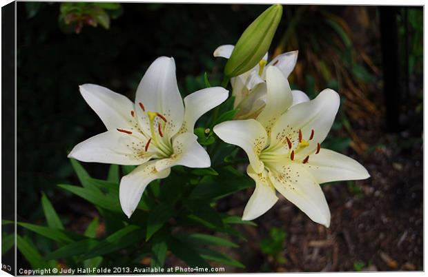 Easter Lilies Canvas Print by Judy Hall-Folde