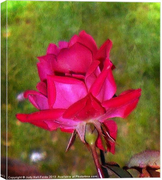 Roses are Red Canvas Print by Judy Hall-Folde