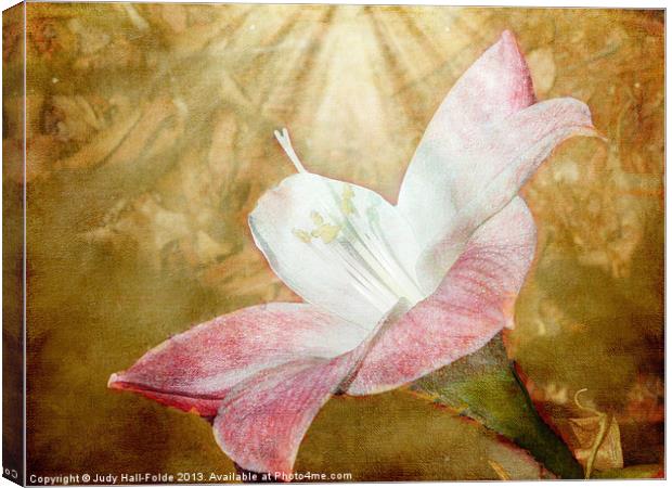 Lily in Lenabem Lightwaves Canvas Print by Judy Hall-Folde