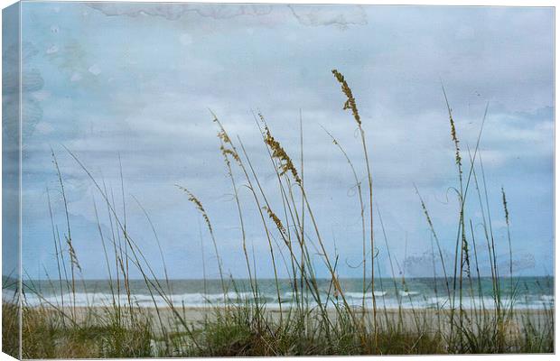 The Approach Canvas Print by Judy Hall-Folde