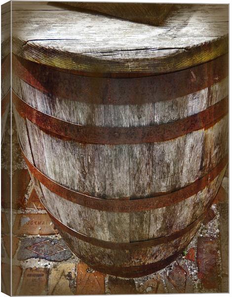 Looking Down the Barrel Canvas Print by Judy Hall-Folde