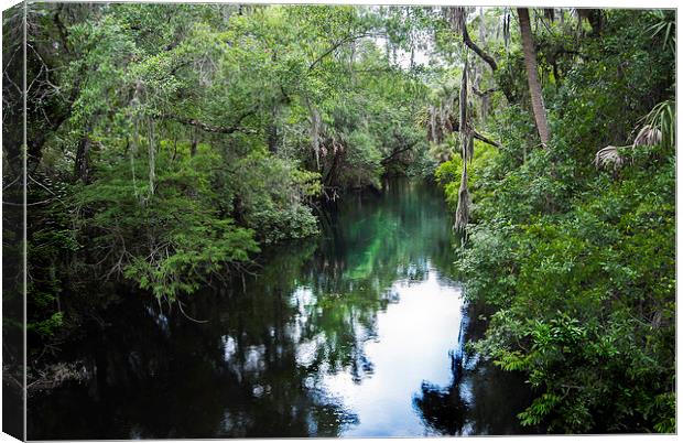 Still Waters Run Deep Canvas Print by Judy Hall-Folde