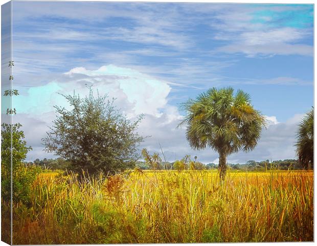 Fall in the Tropics Canvas Print by Judy Hall-Folde