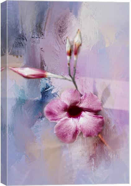 Painted Flowers Canvas Print by Judy Hall-Folde
