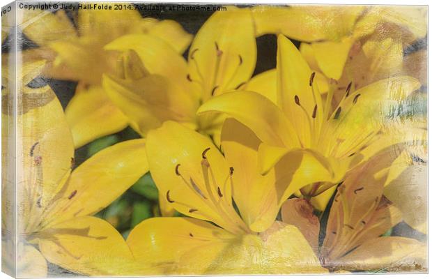Yellow Lilies Canvas Print by Judy Hall-Folde