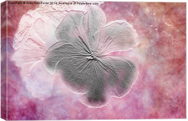 Fossil Flower Canvas Print by Judy Hall-Folde