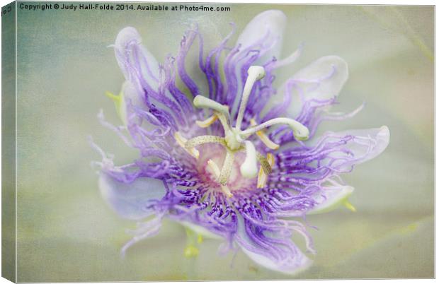  Passion Flower Canvas Print by Judy Hall-Folde