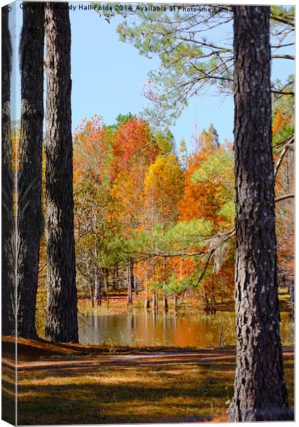  Florida Autumn Canvas Print by Judy Hall-Folde