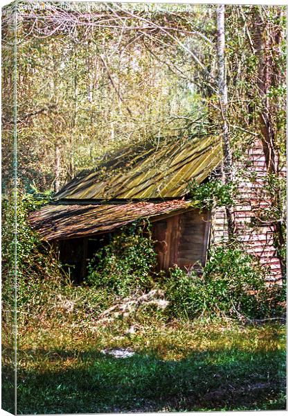 Tin Roof Rusted Canvas Print by Judy Hall-Folde