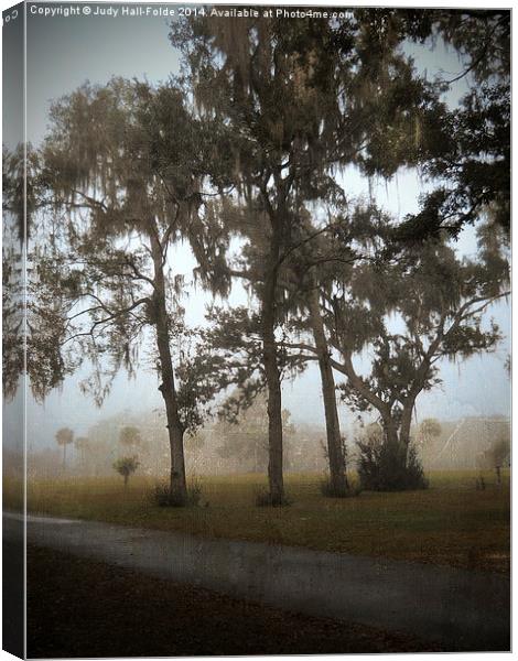  Foggy Morning Canvas Print by Judy Hall-Folde