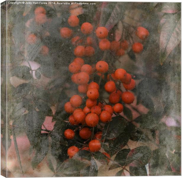  Red Berries Canvas Print by Judy Hall-Folde
