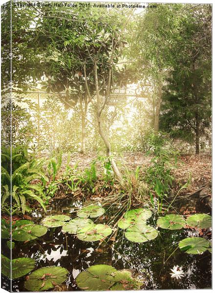  Lily Pond Canvas Print by Judy Hall-Folde