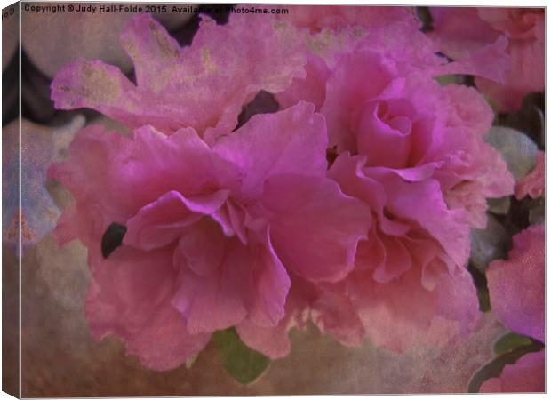  Double Azaleas Canvas Print by Judy Hall-Folde