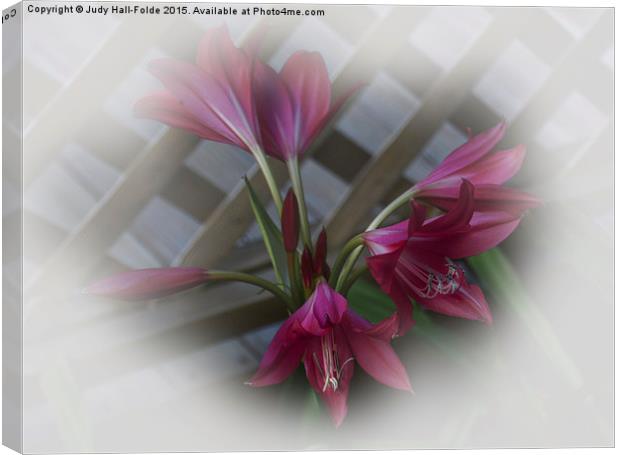  Hazy Lilies Canvas Print by Judy Hall-Folde