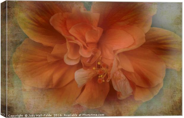 Shades of Orange Canvas Print by Judy Hall-Folde