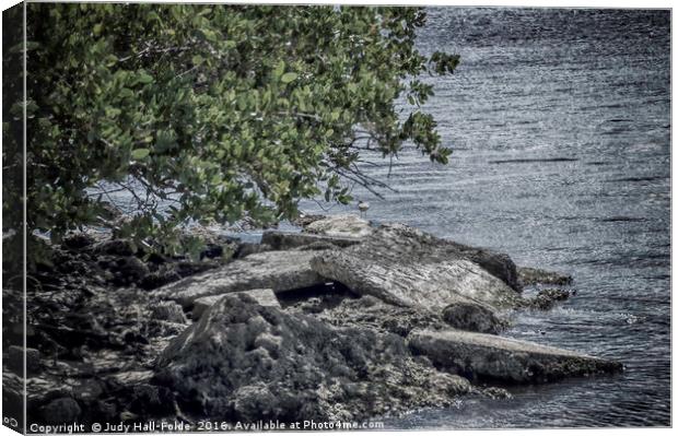 Rocky Shore Canvas Print by Judy Hall-Folde