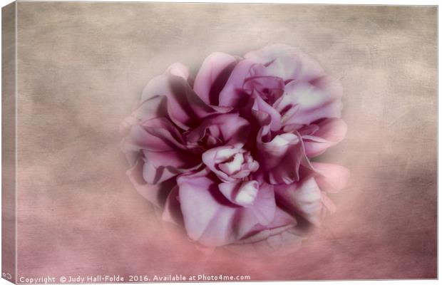 Softly Pink Canvas Print by Judy Hall-Folde