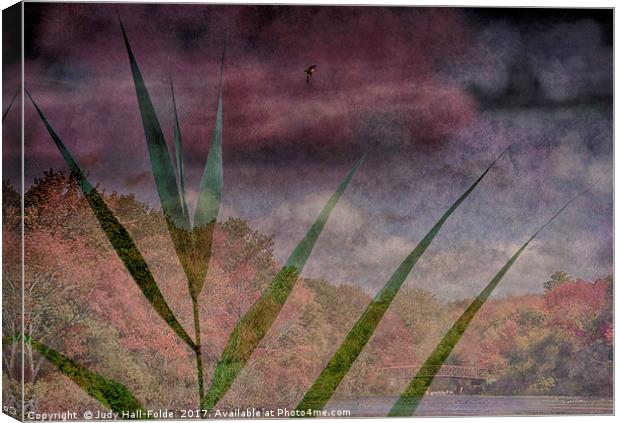 In the Distance is the Season Canvas Print by Judy Hall-Folde