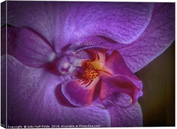 Deep Purple Orchid Canvas Print by Judy Hall-Folde