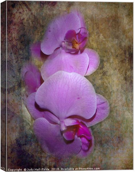 Purple Orchids Canvas Print by Judy Hall-Folde