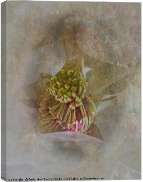 Magnolia Canvas Print by Judy Hall-Folde
