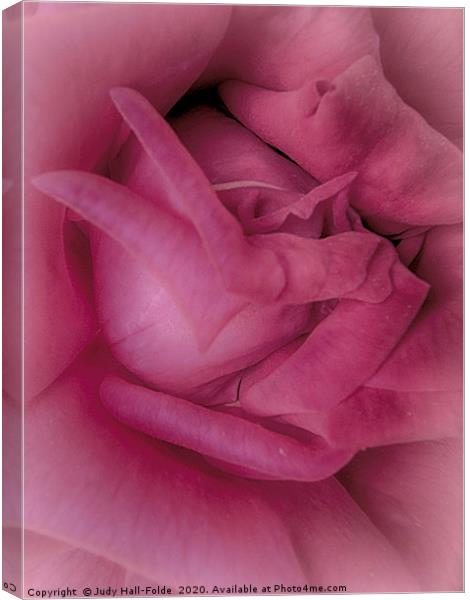 Pretty in Pink Canvas Print by Judy Hall-Folde