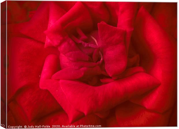 Red Red Rose Canvas Print by Judy Hall-Folde