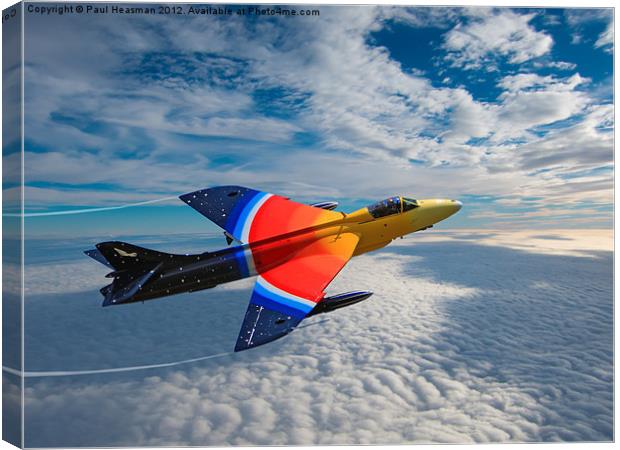 miss demeanour hunter Canvas Print by P H