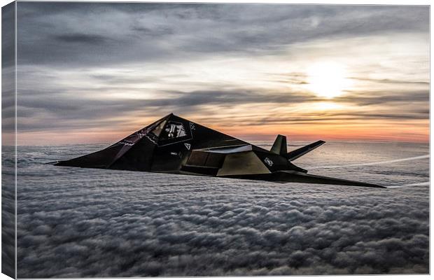 F-117A NightHawk Stealth Fighter Canvas Print by P H
